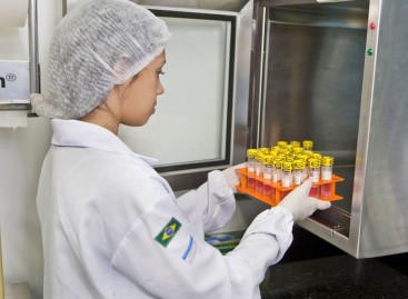 Empresas congelam dentes de leite para extração e armazenamento de células-tronco