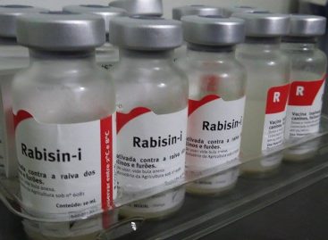 Vacinação contra a raiva começa neste sábado (20) em Itatiba